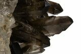 Dark Smoky Quartz Crystal Cluster on Metal Stand - Brazil #300616-4